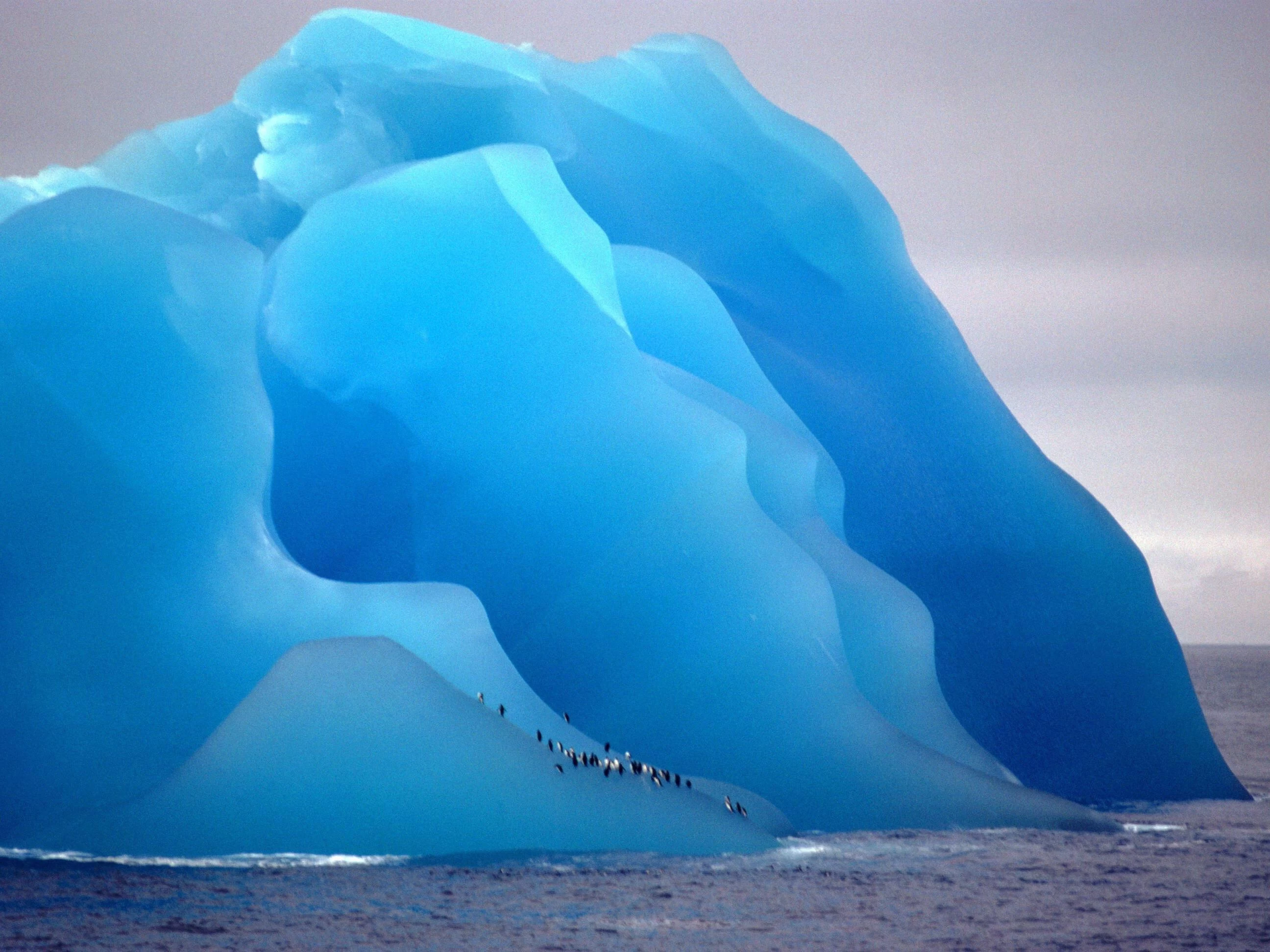 Перевернувшийся айсберг с пингвинами